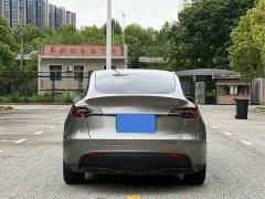 Tesla Model Y Rear-Wheel Drive - ფოტო 5