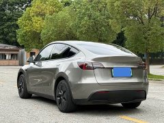 Tesla Model Y Rear-Wheel Drive - ფოტო 6