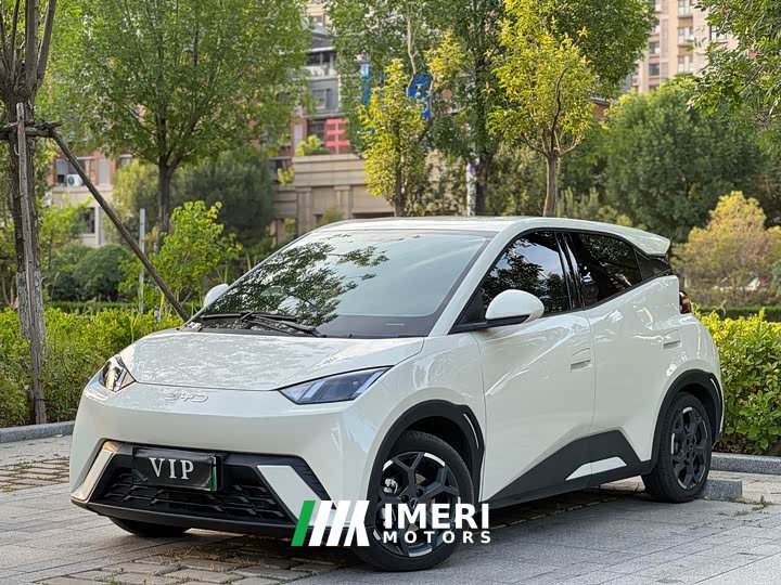 BYD Seagull 305km Freedom Edition - ავტომობილი ჩინეთიდან