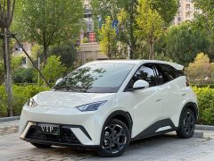 BYD Seagull 305km Freedom Edition - ფოტო 1