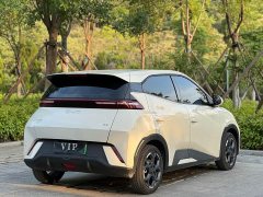 BYD Seagull 305km Freedom Edition - ფოტო 10