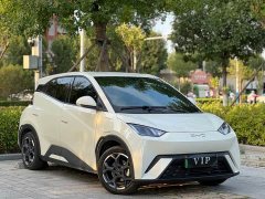 BYD Seagull 305km Freedom Edition - ფოტო 3