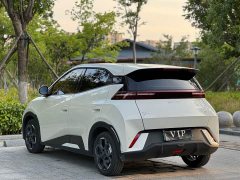 BYD Seagull 305km Freedom Edition - ფოტო 8