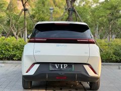 BYD Seagull 305km Freedom Edition - ფოტო 9