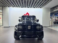 Tank 300 2021 City Edition 2.0T Stylish - ფოტო 2