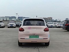 Wuling Binguo 2023 410km Lingxi Premium Edition - ფოტო 5
