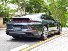 Porsche Panamera 2.9T - ფოტო 14