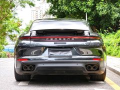 Porsche Panamera 2.9T - ფოტო 15