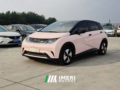 2024 BYD Dolphin 420km Fashion Edition - автомобиль из Китая