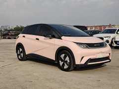 BYD Dolphin 2023 420km Fashion Edition - ფოტო 2