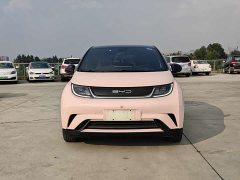 BYD Dolphin 2023 420km Fashion Edition - ფოტო 3