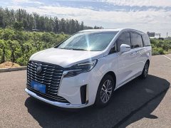 Buick GL8 ES Luxe Enjoyment Edition - ფოტო 2