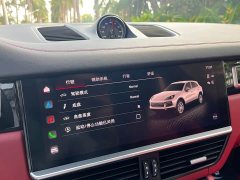 Porsche 2019 Cayenne 3.0T - ფოტო 14
