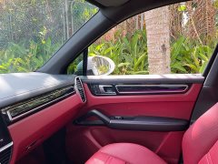 Porsche 2019 Cayenne 3.0T - ფოტო 16