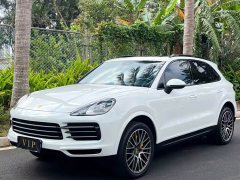 Porsche 2019 Cayenne 3.0T - ფოტო 20