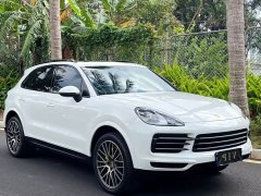 Porsche 2019 Cayenne 3.0T - ფოტო 3
