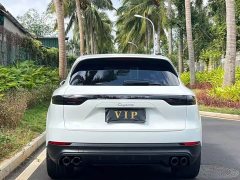 Porsche 2019 Cayenne 3.0T - ფოტო 8