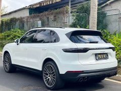 Porsche 2019 Cayenne 3.0T - ფოტო 9