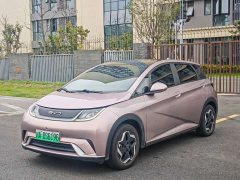 BYD Dolphin 405km Fashion Edition - ფოტო 1