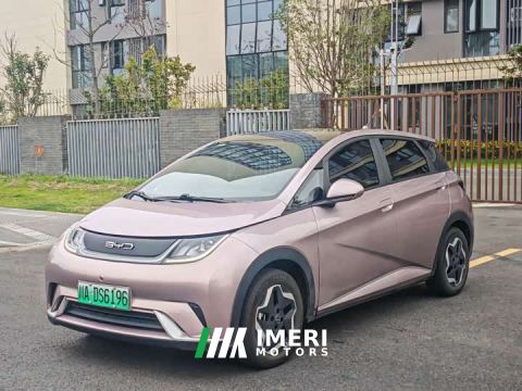 2022 BYD Dolphin 405km Fashion Edition