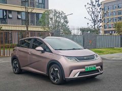 BYD Dolphin 405km Fashion Edition - ფოტო 2