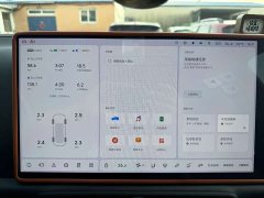 Li Auto L9 Pro - ფოტო 10