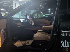 Geely Galaxy Xingyao 8 130km EM-P Starship Edition - ფოტო 10