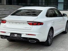 Geely Xingrui 2.0T Diesel Space Edition - ფოტო 5