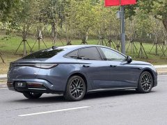 BYD Dolphin 07 DM-i 1.5L 125km Luxury - ფოტო 14