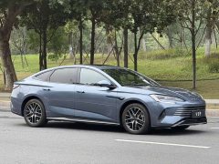 BYD Dolphin 07 DM-i 1.5L 125km Luxury - ფოტო 3