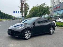 Tesla Model Y Long Range All-Wheel Drive - ფოტო 1