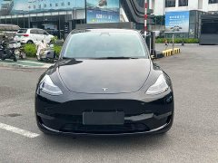 Tesla Model Y Long Range All-Wheel Drive - ფოტო 2