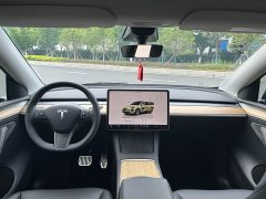 Tesla Model Y Long Range All-Wheel Drive - ფოტო 6