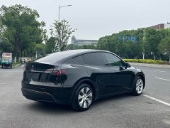 Tesla Model Y Long Range All-Wheel Drive - ფოტო 8