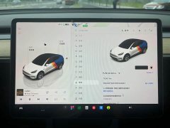Tesla Model Y 2022 Facelift Rear-Wheel Drive - ფოტო 11