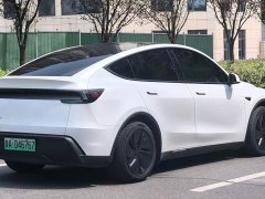 Tesla Model Y Long Range All-Wheel Drive - ფოტო 11