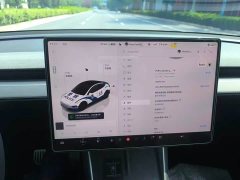Tesla Model Y Long Range All-Wheel Drive - ფოტო 7