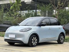 Wuling Binguo 333km Joy Edition - ფოტო 1