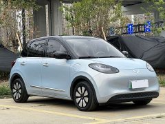 Wuling Binguo 333km Joy Edition - ფოტო 3