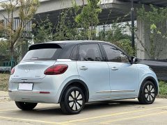 Wuling Binguo 333km Joy Edition - ფოტო 4