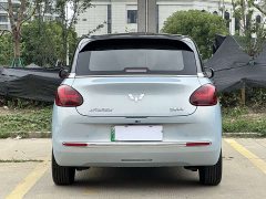 Wuling Binguo 333km Joy Edition - ფოტო 6
