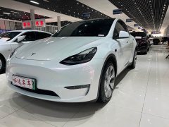 Tesla Model Y Long Range All-Wheel Drive 3D7 - ფოტო 1