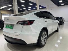 Tesla Model Y Long Range All-Wheel Drive 3D7 - ფოტო 7