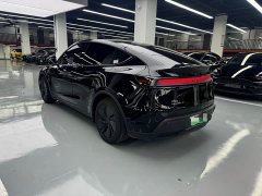 Tesla Model Y Rear-Wheel Drive - ფოტო 14