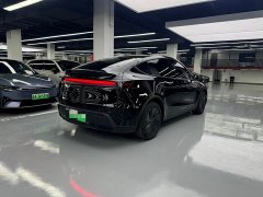 Tesla Model Y Rear-Wheel Drive - ფოტო 16