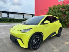 BYD Seagull 2023 Freedom Edition - ფოტო 1