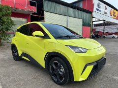 BYD Seagull 2023 Freedom Edition - ფოტო 3