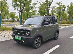Geely Panda 210km Panda Knight - ფოტო 1