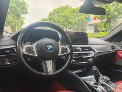 BMW 5 Series 530Li Premier M Sport Package - ფოტო 5