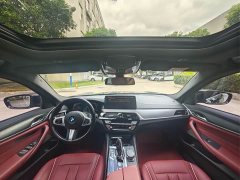 BMW 5 Series 530Li Premier M Sport Package - ფოტო 6
